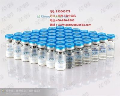 河源市委老干部局 傳承紅色基因，服務(wù)銀發(fā)群體的重要力量